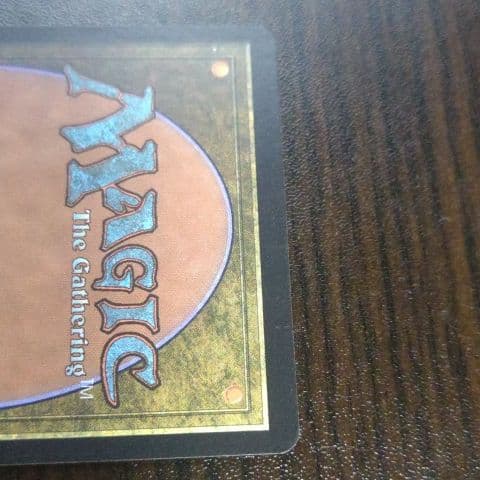 MTG　GuruLand（グルランド）　Forest　１枚