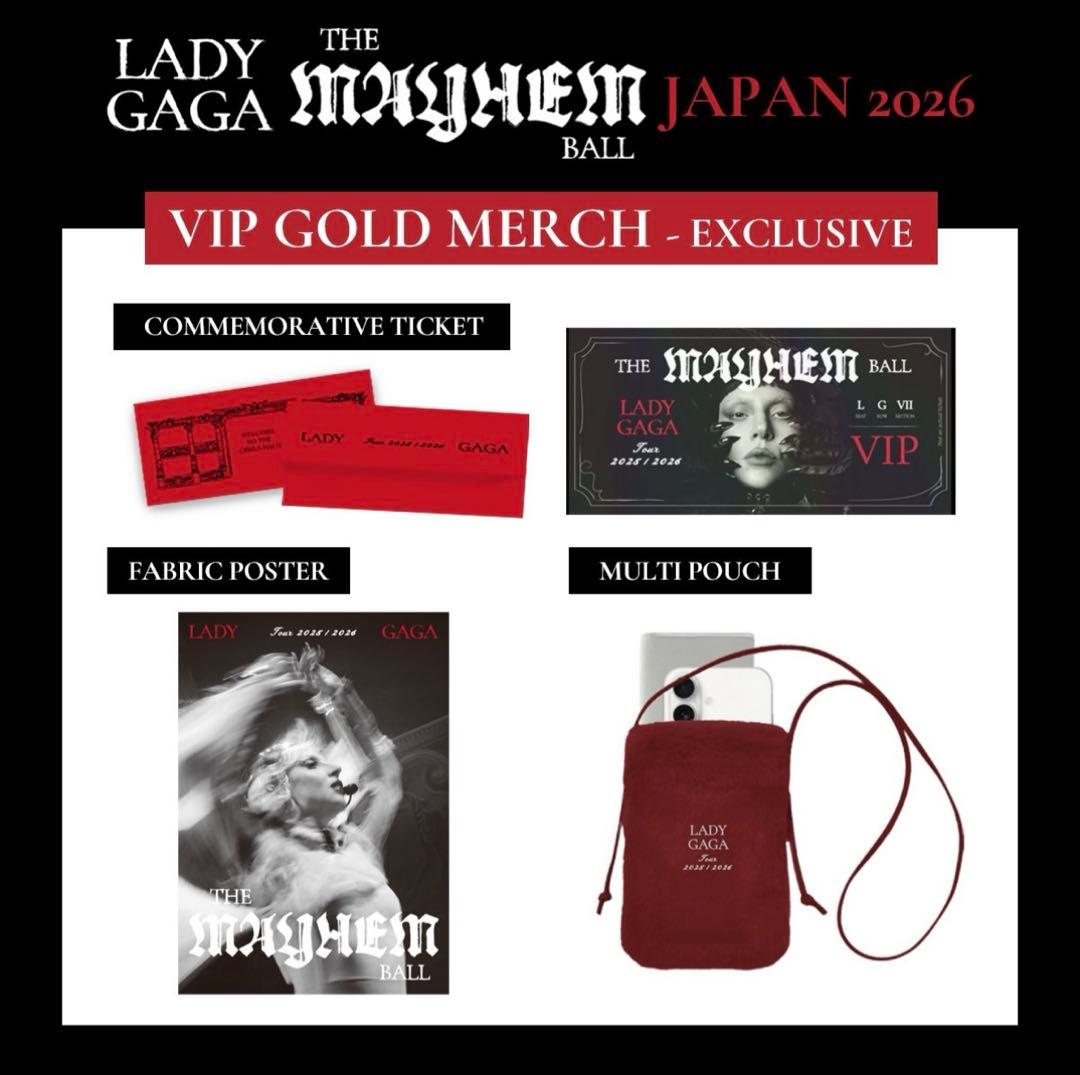 ノ*リ様 新品未開封 VIP GOLDフルセット レディー ガガ MEYHEMB