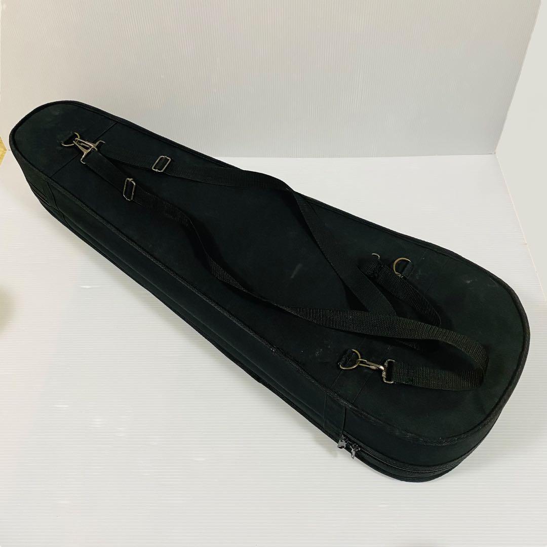 Hallstatt サイレント エレキバイオリン CV-210E ケース付