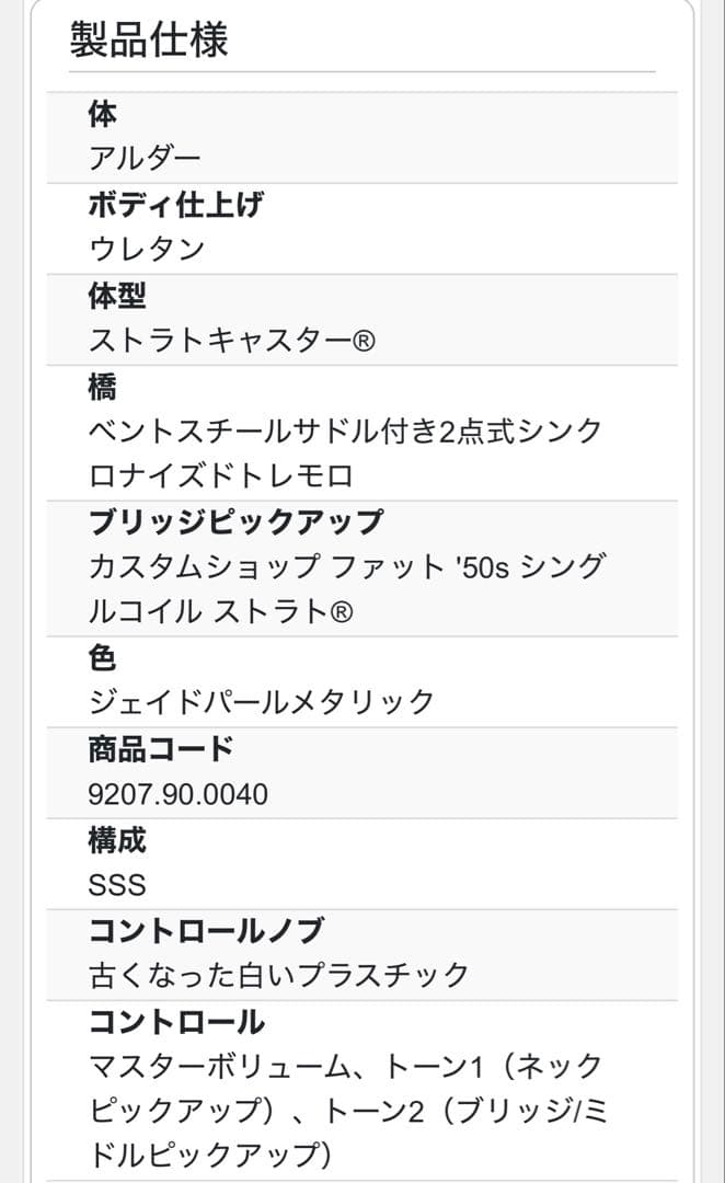 ⚫️ aksidmd さま専用⚫️ Fender Stratocaster