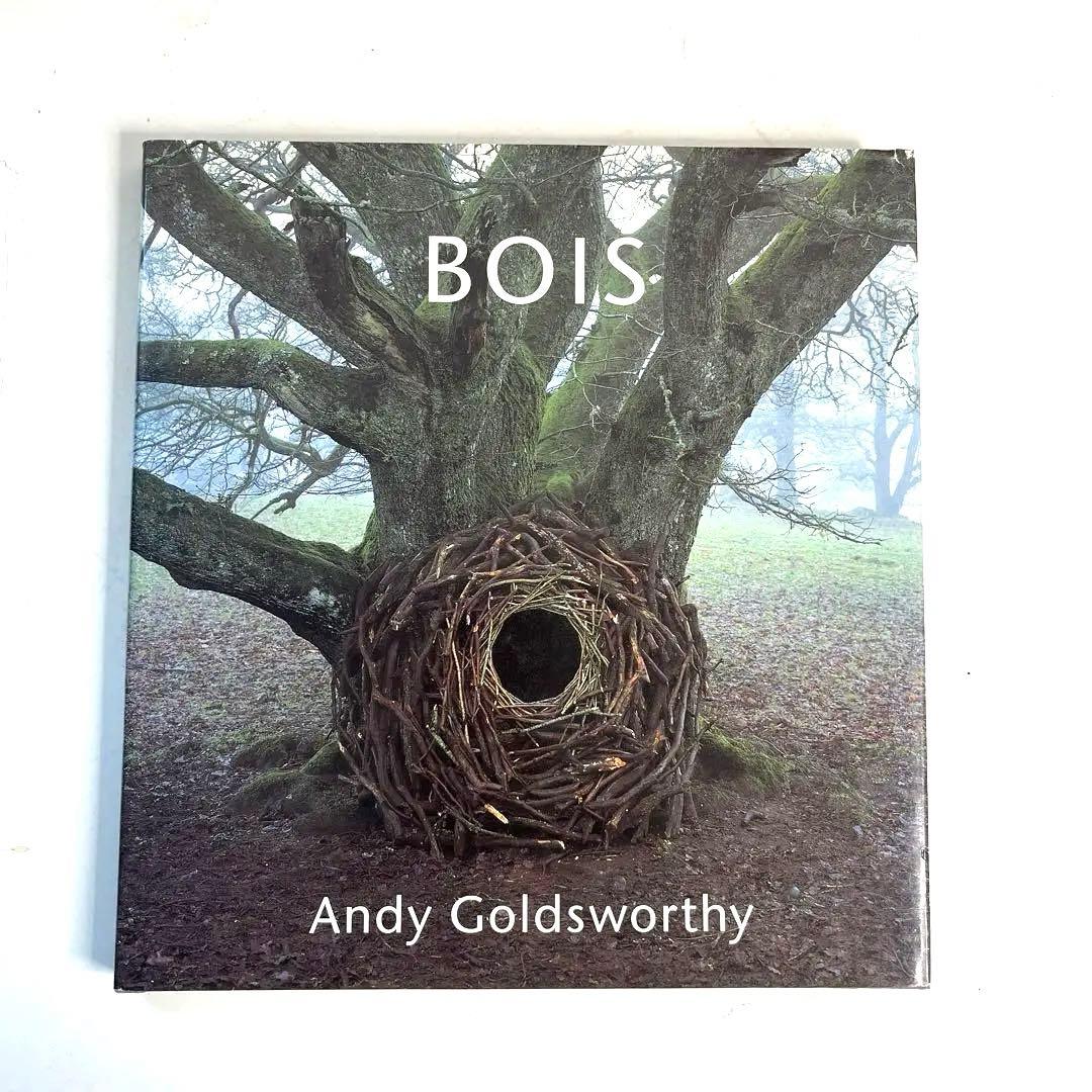 現代美術家アンディゴールズウォスリイ写真集　 ボイス