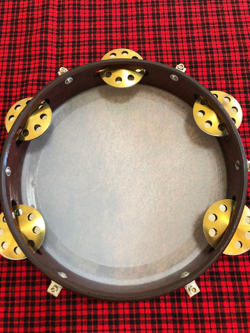 【再値下げ】REMO パンデイロ　PD-8210-81-113 Skyndeep