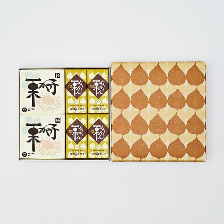 デコピン　10箱