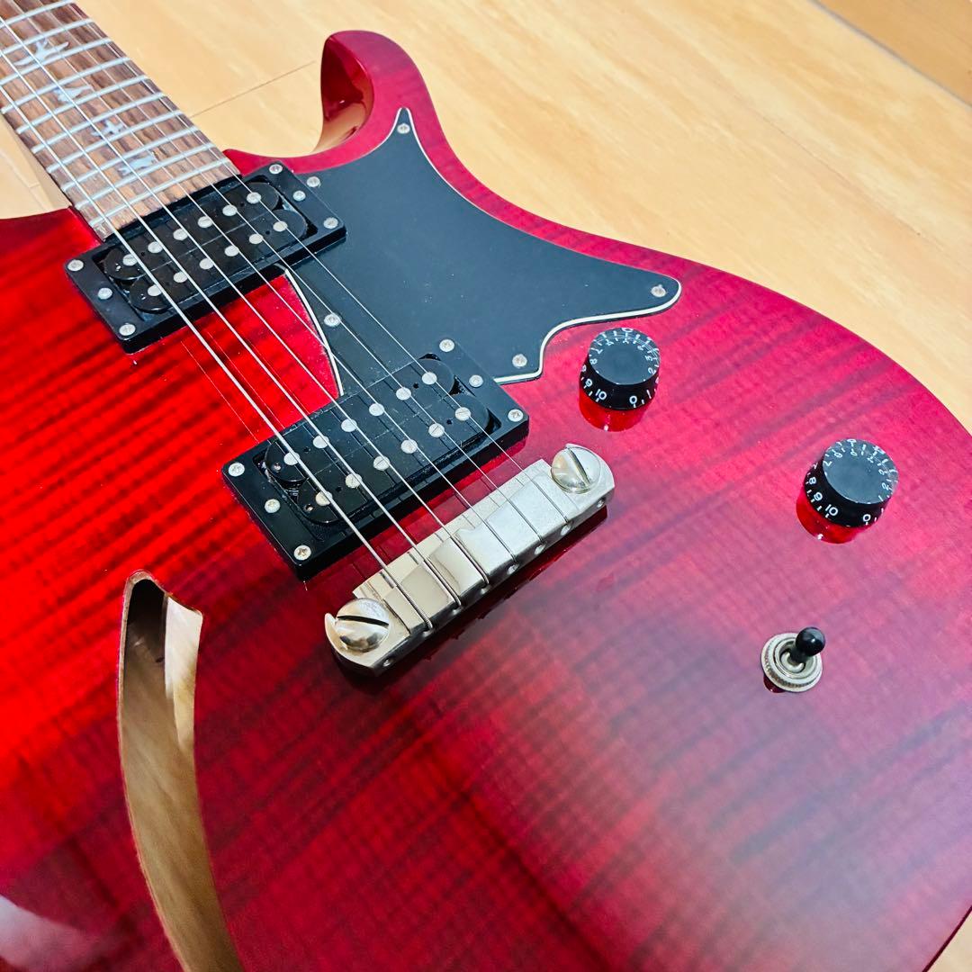 Paul Reed Smith PRS SE CUSTOM 【未使用に近い】
