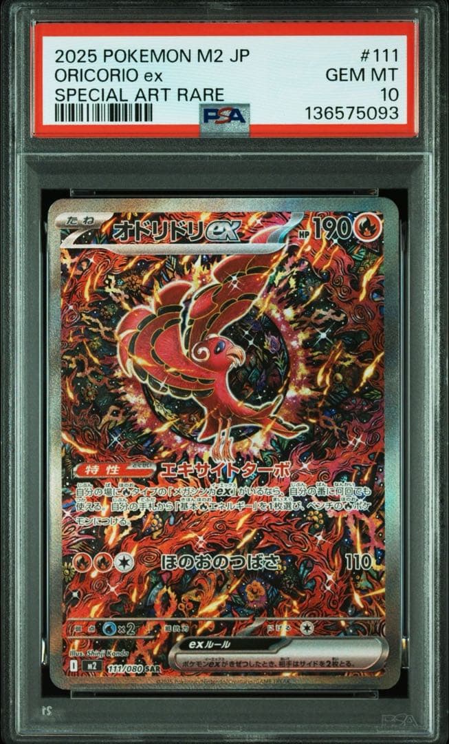 【 PSA10 2連番 】 オドリドリex SAR SR 2連番 カンダシンジ