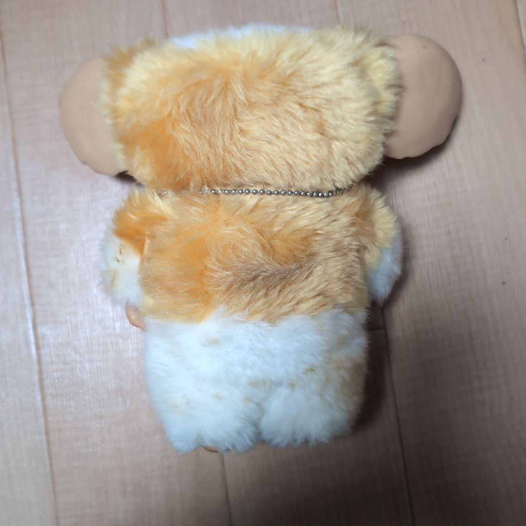 ギズモ21st激レア限定品ジュンプランニング