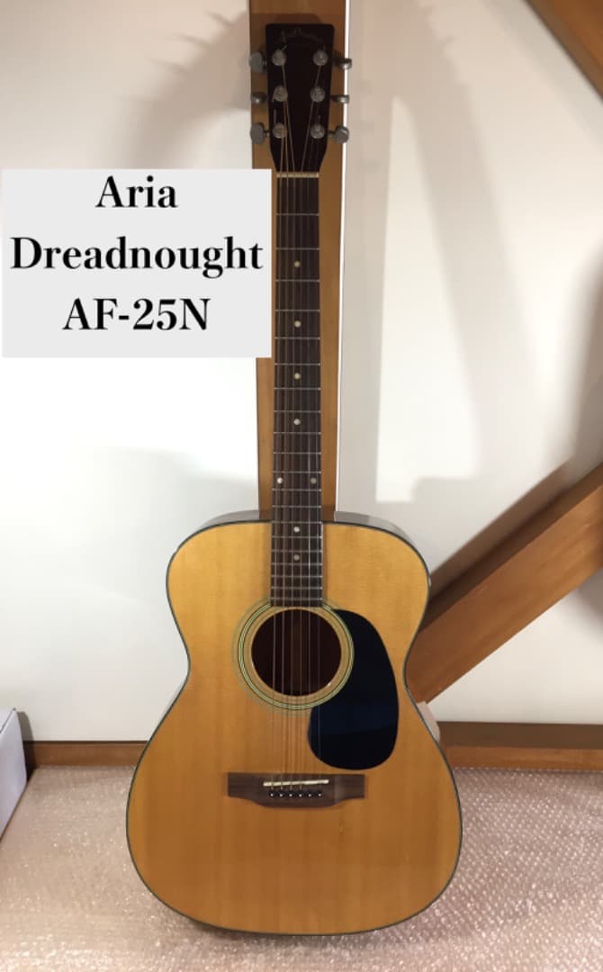 ○Aria Dreadnought アコースティックギター AF-25N ケース