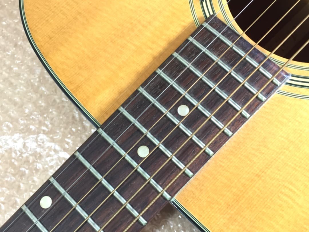 ○Aria Dreadnought アコースティックギター AF-25N ケース