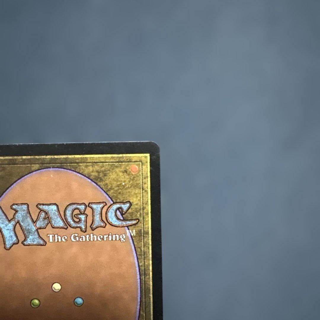 MTG 補充　英語版２枚セット