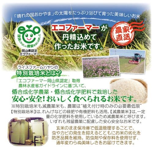 令和7年産 希少米 緑肥＆有機肥料 特別栽培米【朝日】15キロ