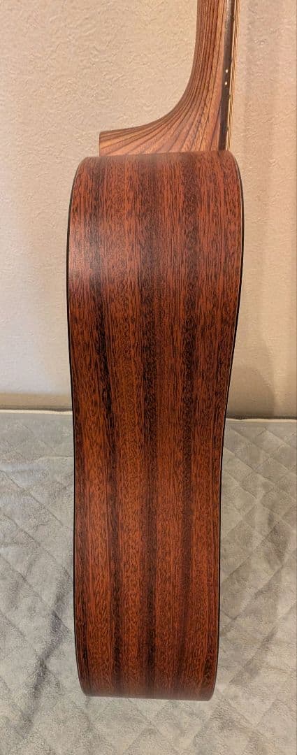 Martin & Co. DXM アコースティックギター マーチン　USA