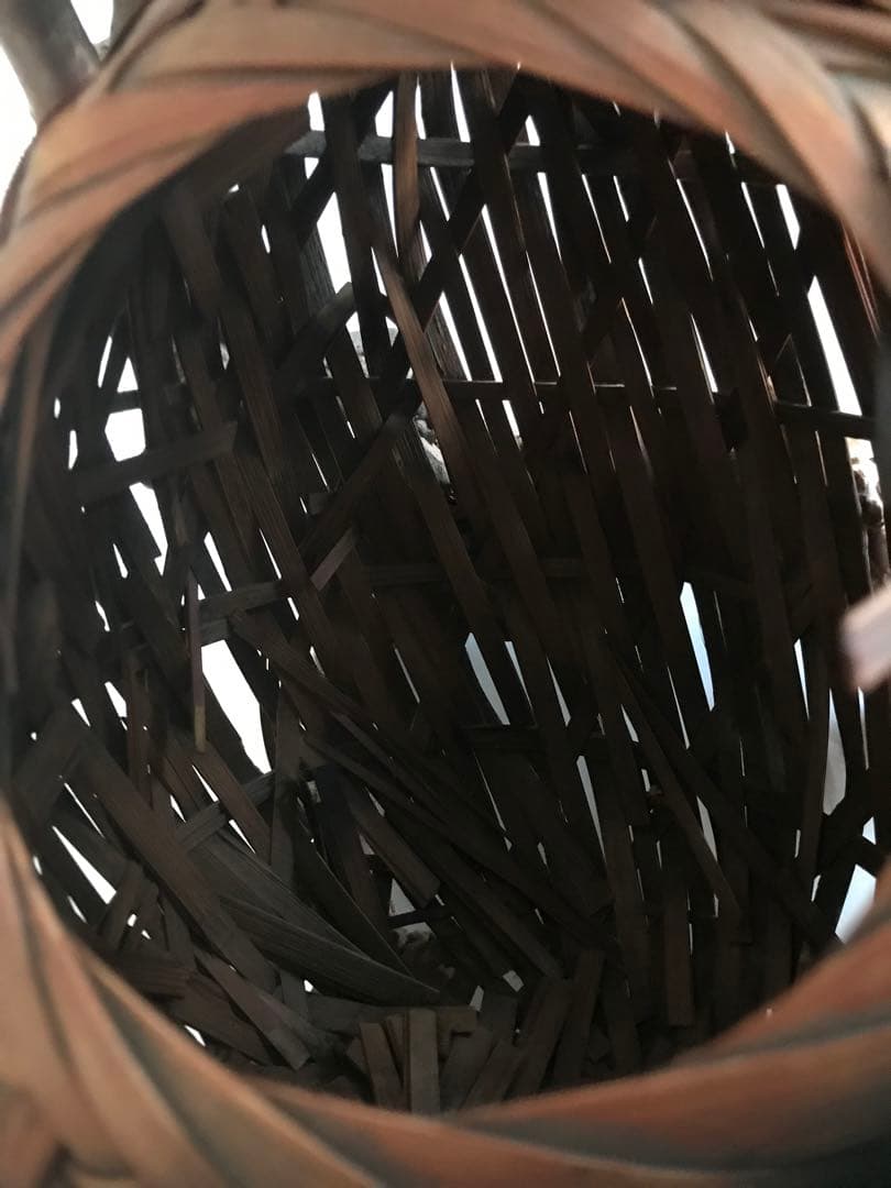 骨董品　竹製天然木　二重構造花入れ　オブジェ　華道