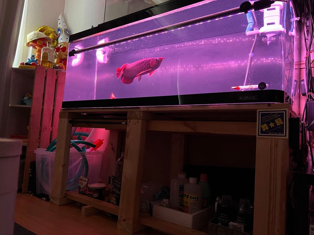 1200アクリル水槽 本体 大型水槽 別途配送可能