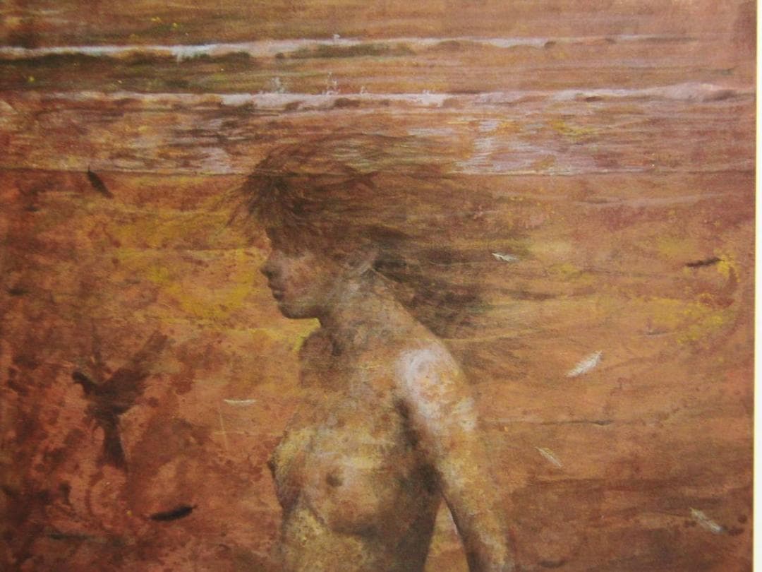 荒木尚、風の記憶、希少な額装用画集より、新品高級額装付、状態良好