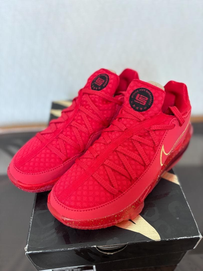 ナイキ レブロン 17 ロー タイタン 新品 CD5009-600 26.5cm