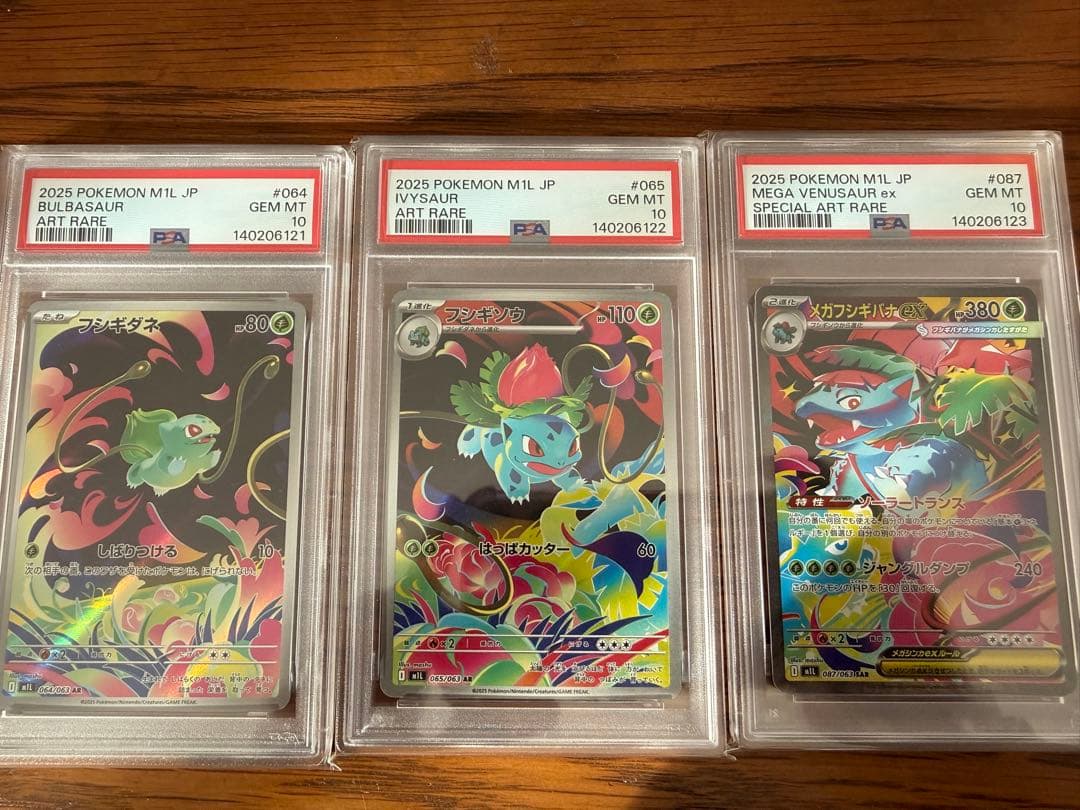 フシギダネ フシギソウ メガフシギバナex 進化ラインセット PSA10 連番