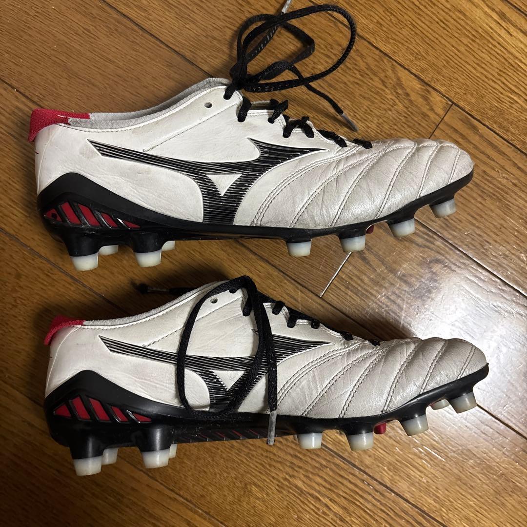 モレリアスパイク