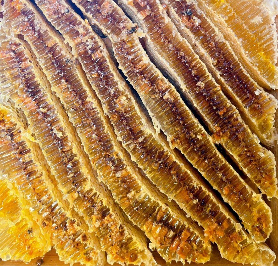 熟成1・2年　日本蜜蜂はちみつ 1200g 4本セット