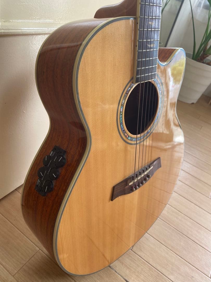 IBANEZ アコースティックギター