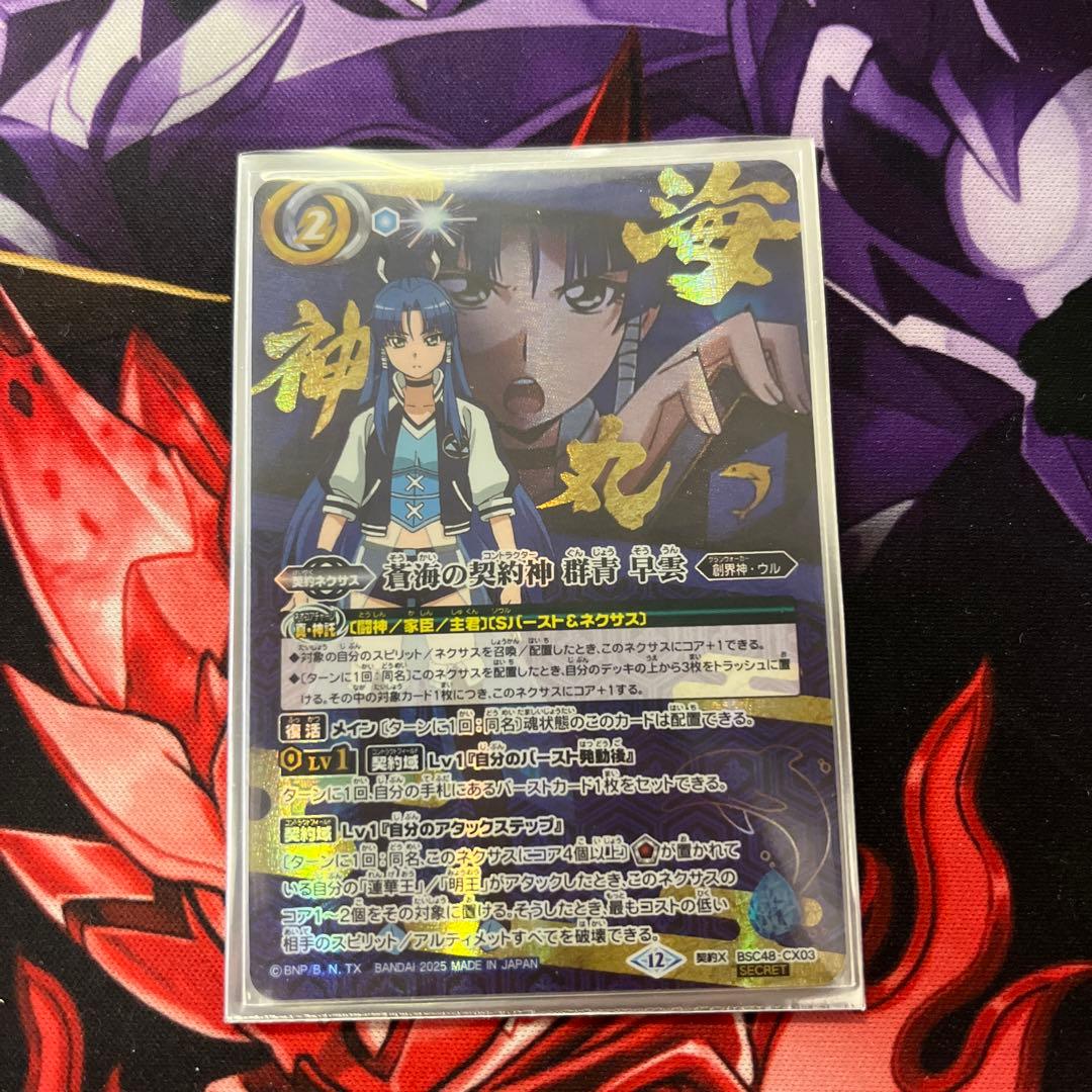 蒼海の契約神　群青早雲　シークレット