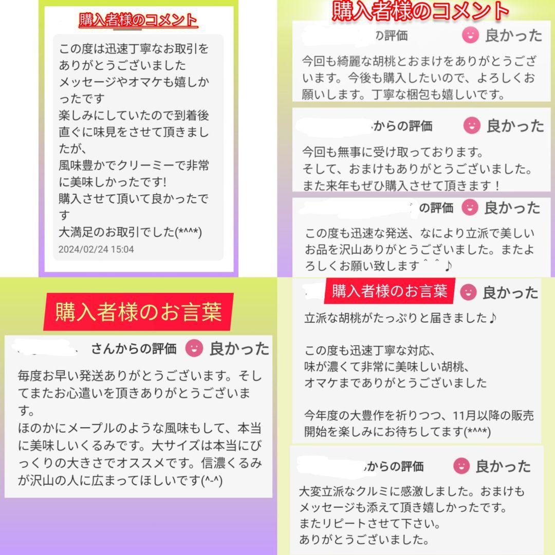 MARIKURI商品 25年 長野県 東御市 信濃くるみ サイズ小10kg