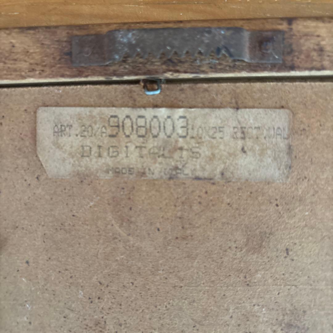 Lilium Montanum & Digitalis flower リトグラフ