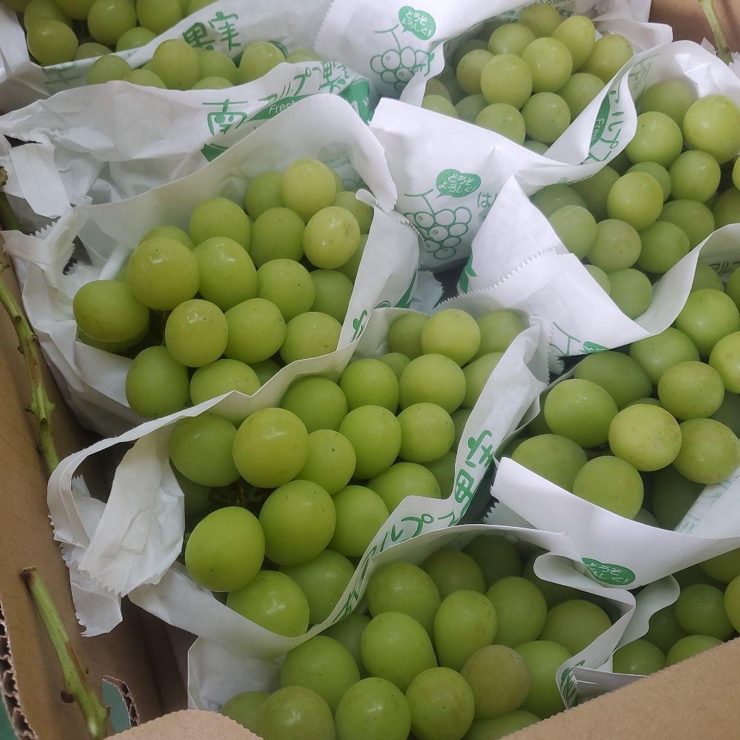 0️⃣5️⃣ 山梨県産 シャインマスカット11房入り 箱込み5.6キロ