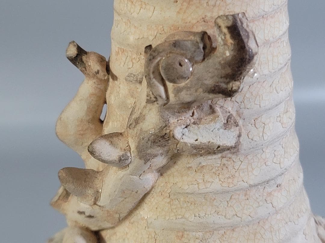 中国美術 遼白磁 纏龍貼 瓶 時代物 DT243