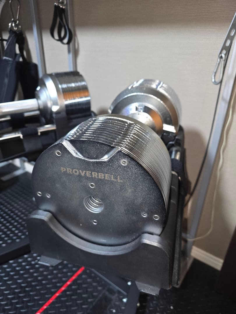 【引取限定】ライシン　プロバーベル 41.5kg×2 シルバー スタンド付