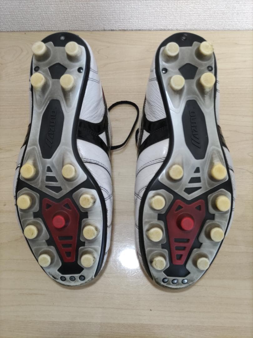 【25.0cm】 モレリア 2 JAPAN ショートタン クロスステッチ