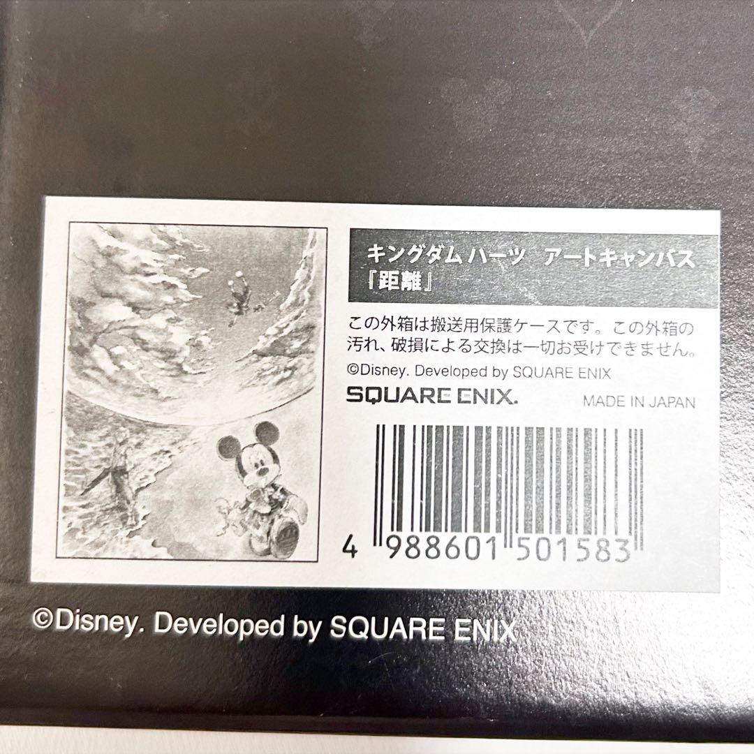 キングダムハーツ キャンバスボード ミッキー ソラ リク