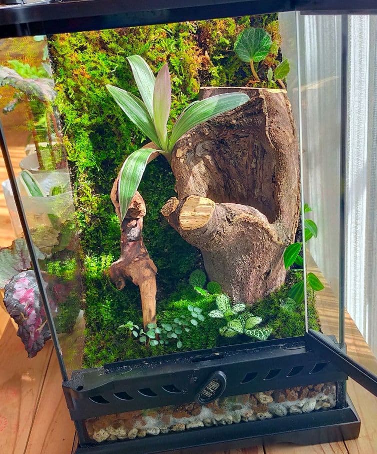 しょーきちページ