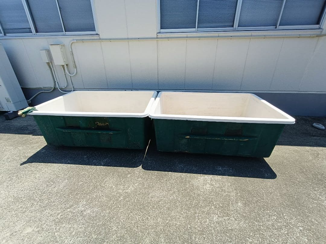 引き取り限定 茨城県大洗町 大型水槽 タンク 2つセット FRP 生簀 養殖