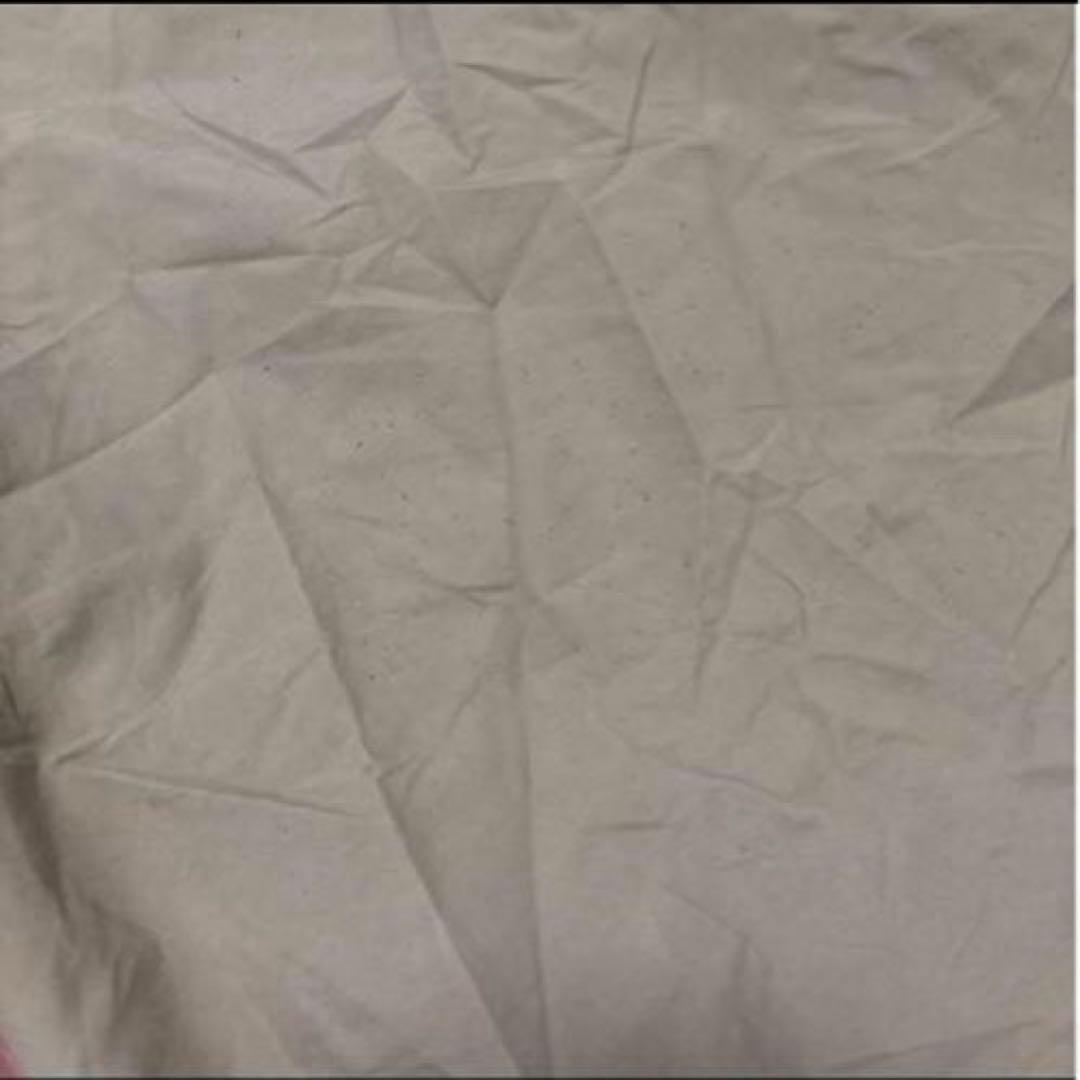 米軍　実物　BIVY COVER GORE-TEX 寝袋カバー　② 送料無料