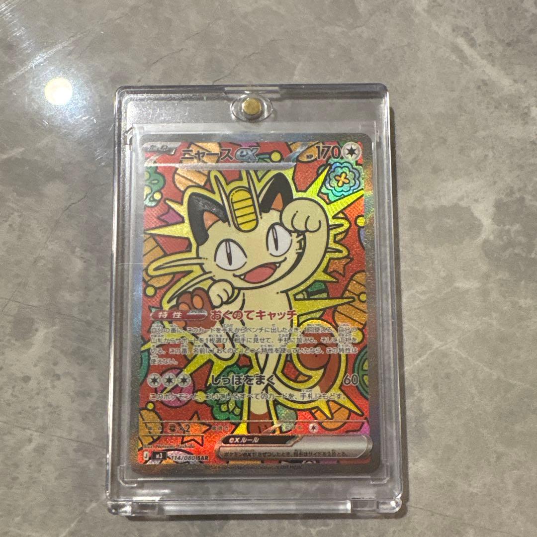 蒼*熊様 ニャースSAR