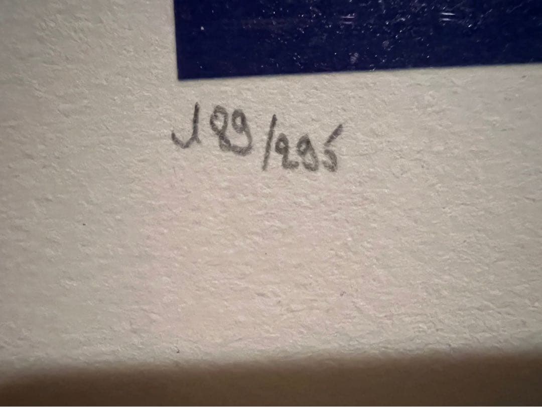 Alain Ragaru リトグラフ 額縁 インテリア 薔薇の盛花