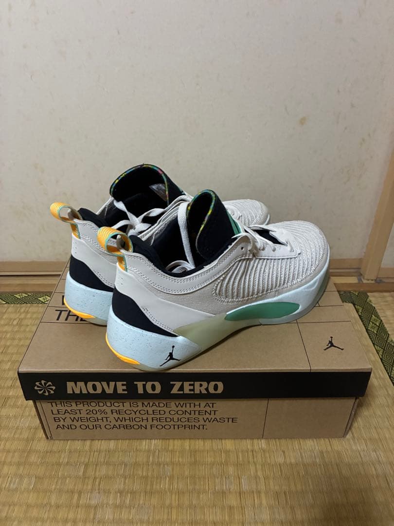 シューズ(男性用) Jordan Luka 1 Next Nature PF