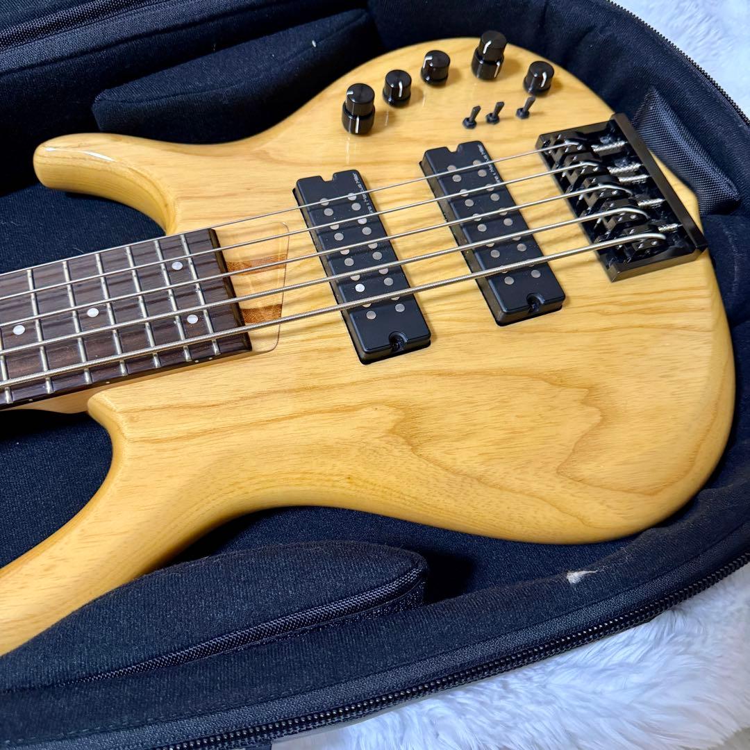 Sire M5 Ash-5NT 専用ケース付 軽量5弦ベース　送料込み