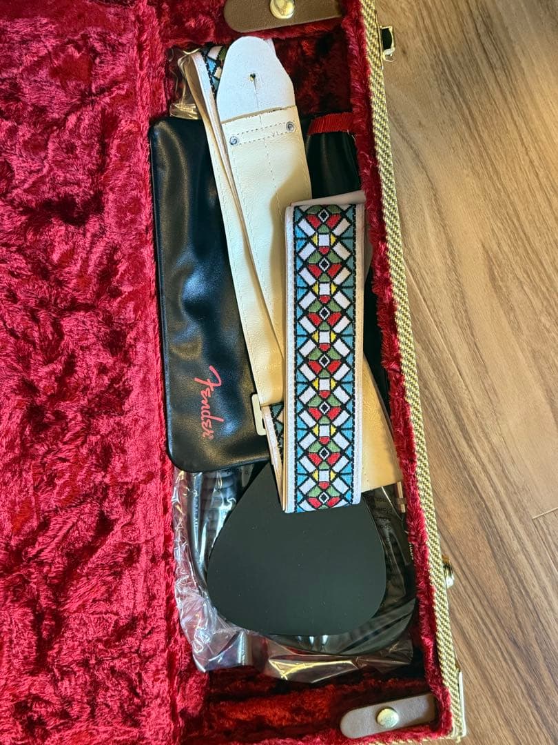 ギター Fender Jimmy Page Mirror Telecaster