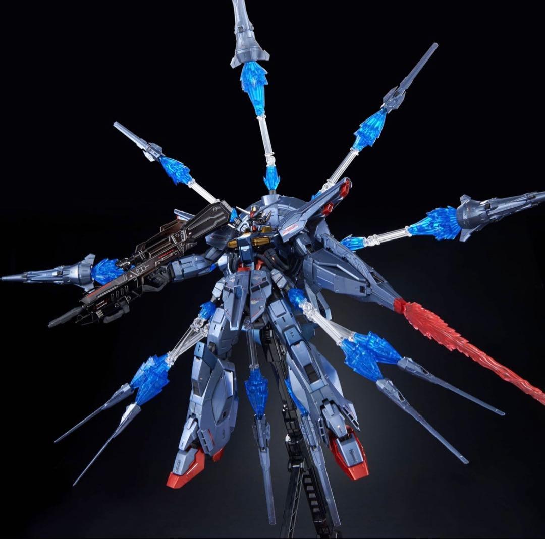 【新品未使用】MG プロヴィデンスガンダム　スペシャルコーティング
