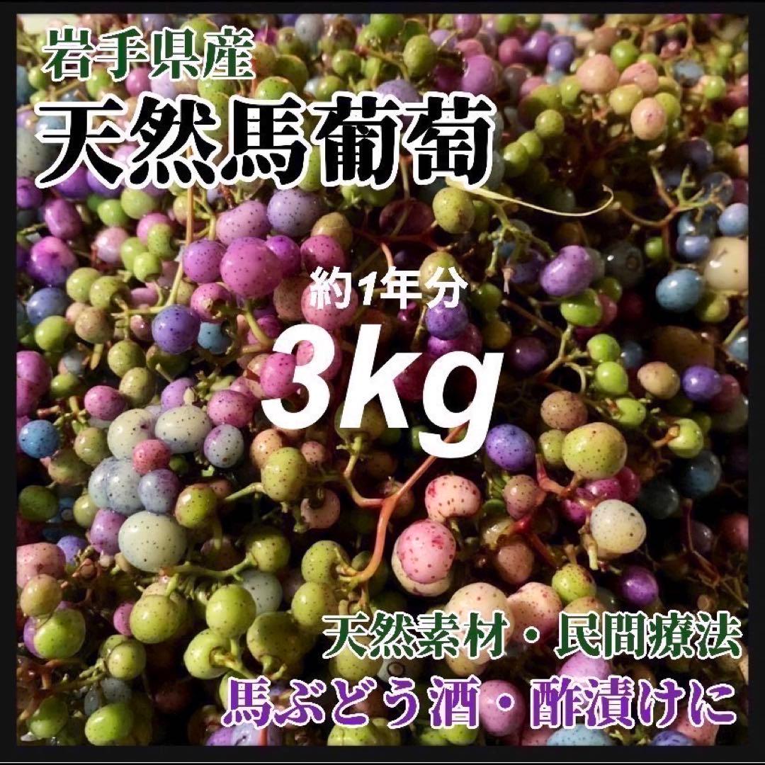 【個包装12袋】馬ぶどう250g×12袋　1年分3kg うまぶどう　薬膳民間療法