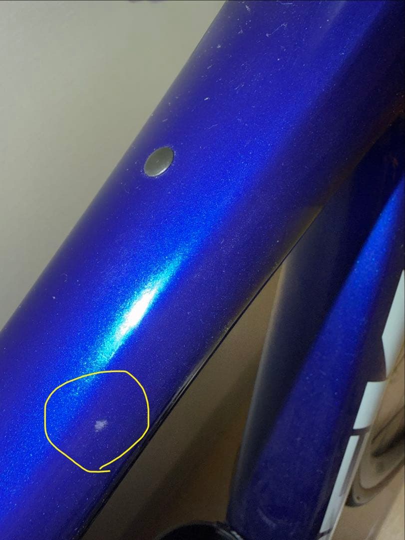 domane SL6 (ホイールROVAL ALPINIST CLX2)