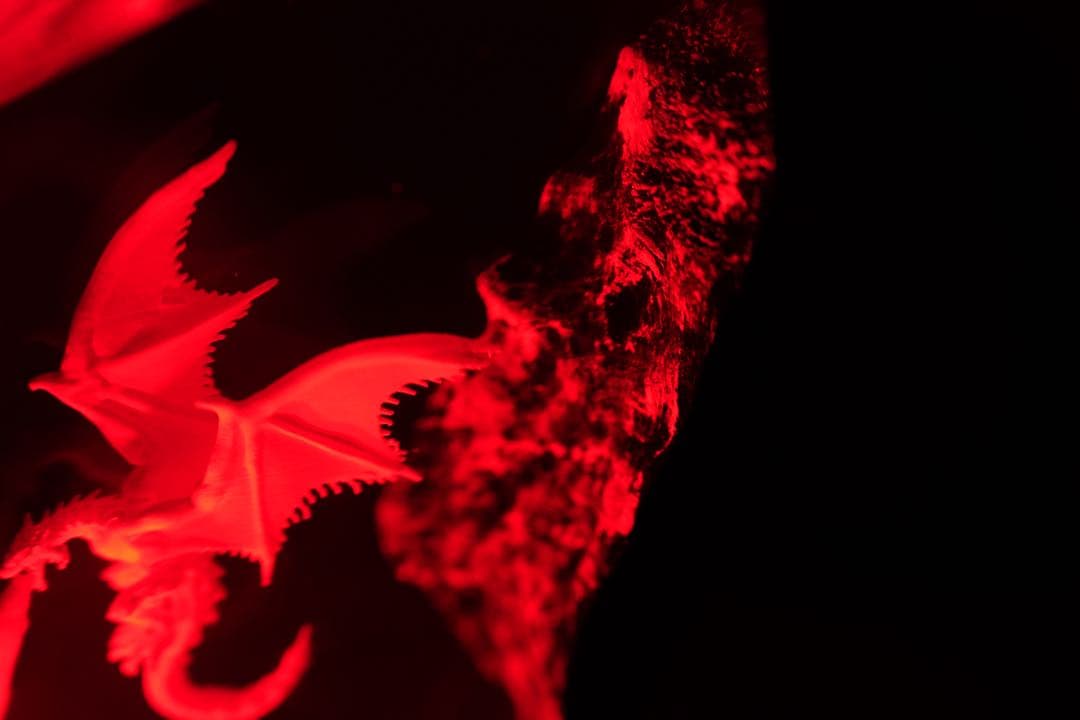 【在庫処分】ドラゴンの息吹 炎の城 レジンランプ 中世ファンタジー 騎士 冒険