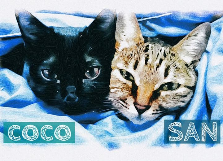 うちの子イラスト（データ納品）