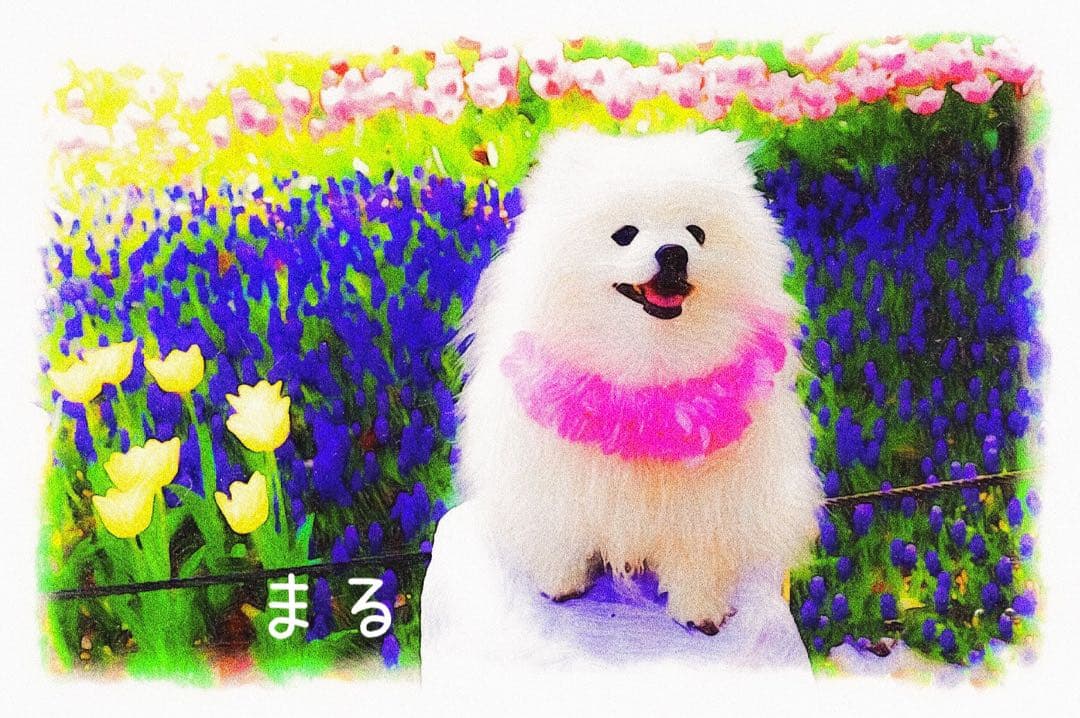 うちの子イラスト（データ納品）