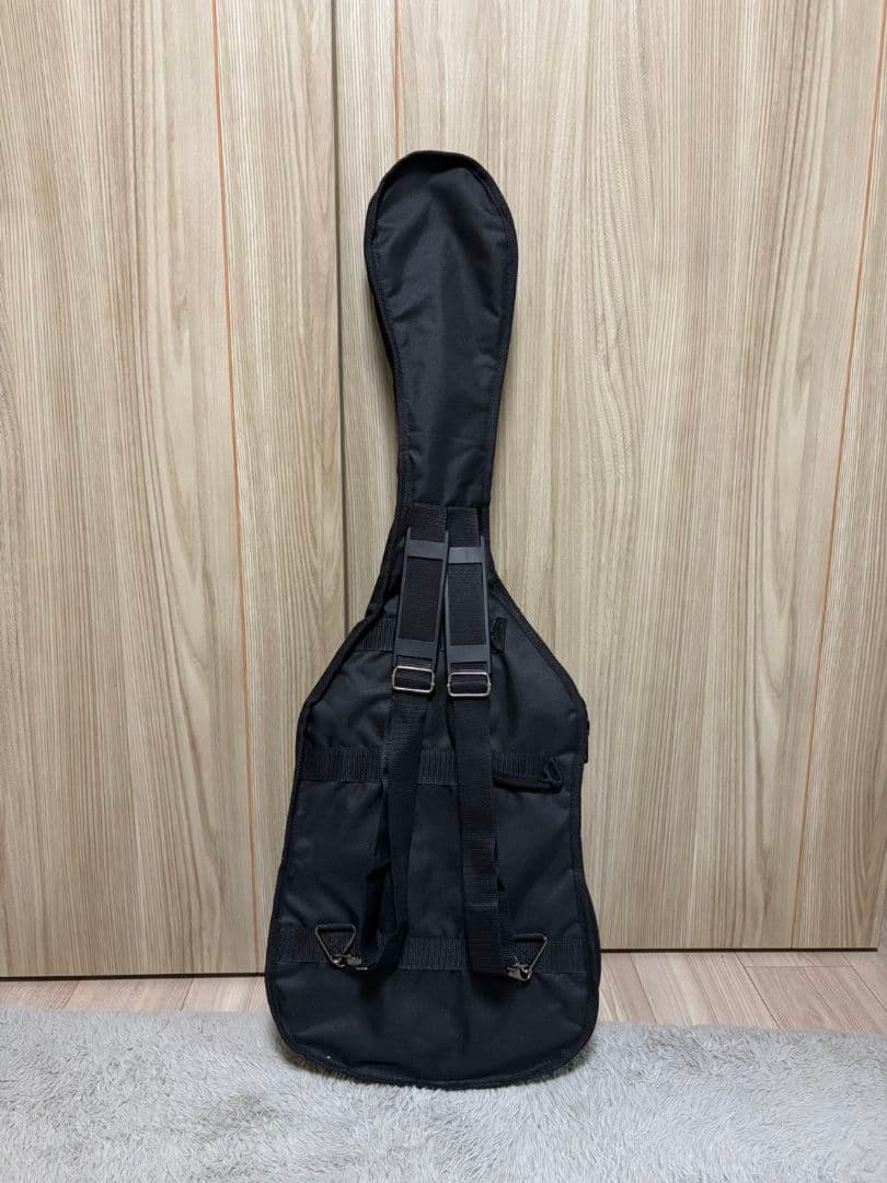 ギター GrassRoots G-AC-45