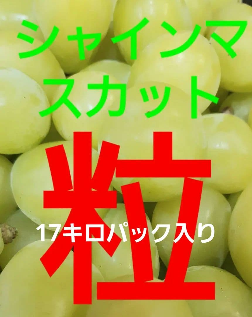 シャインマスカット増量の、徳用17キロ入りの粒21バック入りになります。