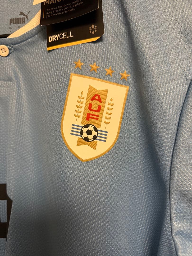 ダルウィン・ヌニェス 9番 ウルグアイ代表