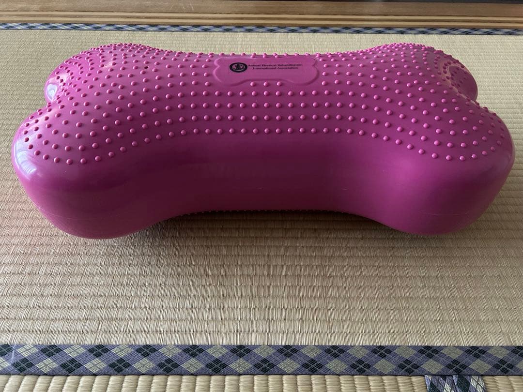 8ちゃんぽん バランスボーン　バランスボール