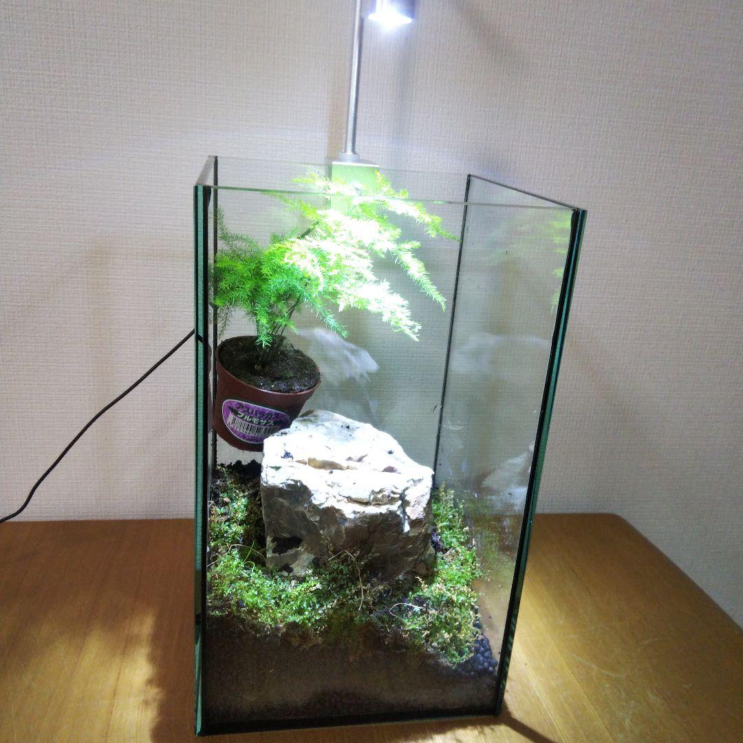 ももたろうページ